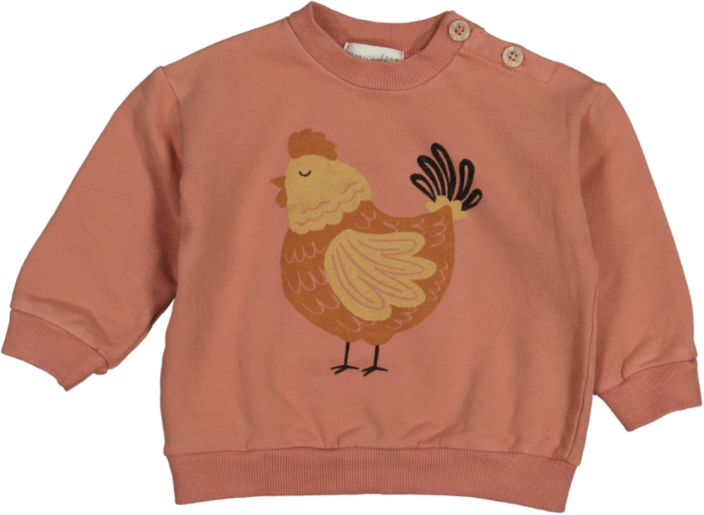 SNAIL- Sweatshirt Chicken Clay