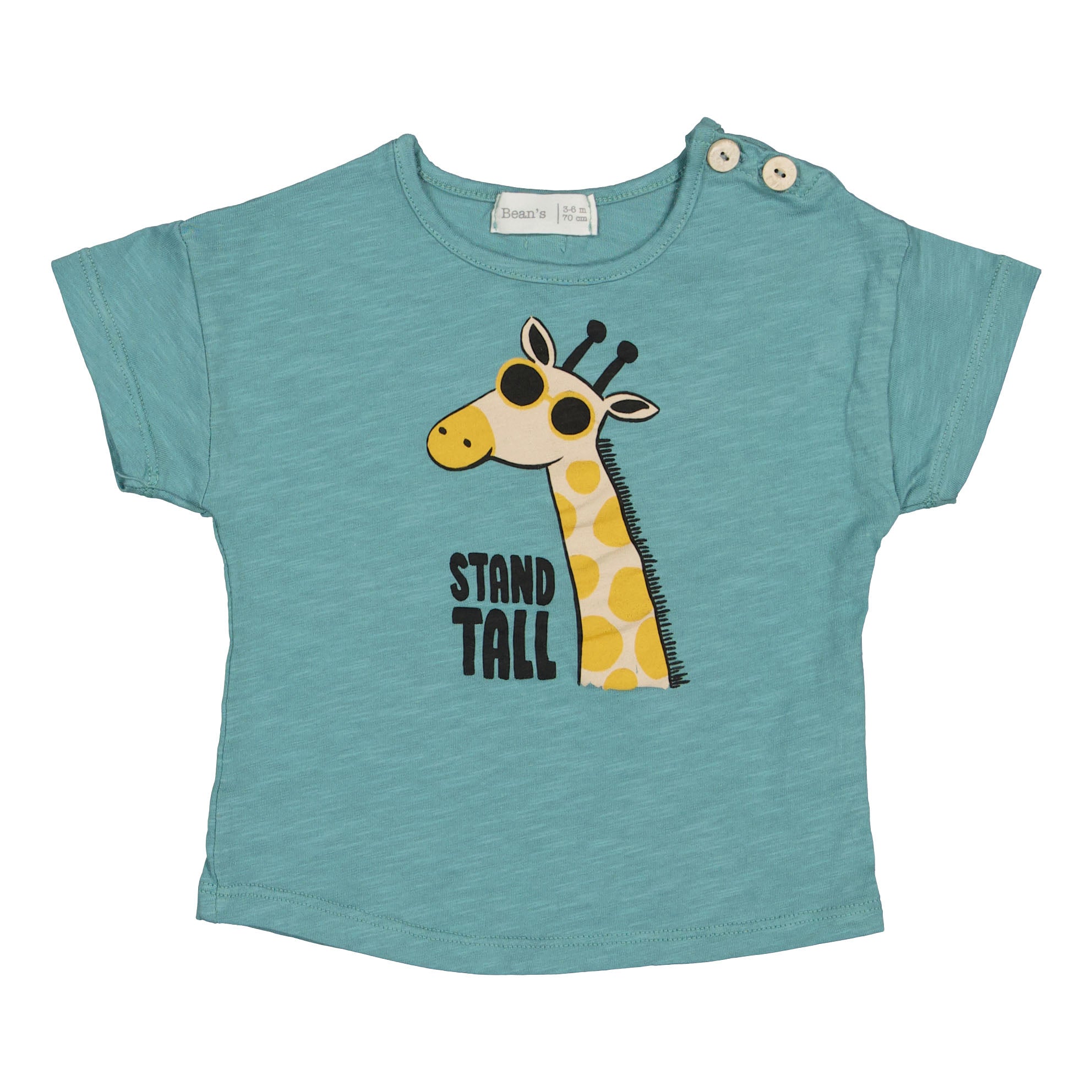 Giraffe T-shirt SeaGreen