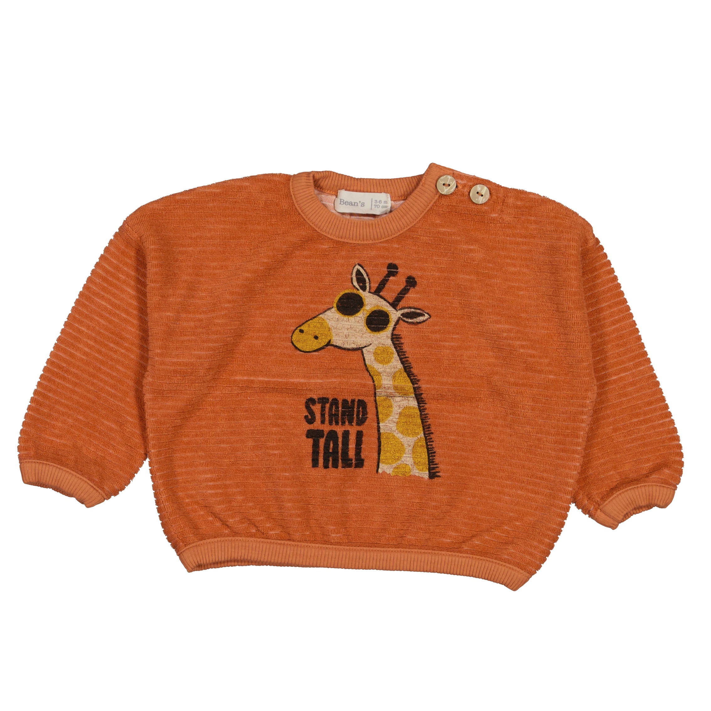 Giraffe sweatshirt Brick