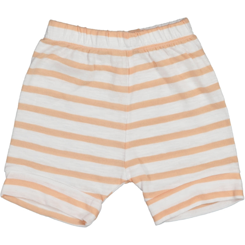 MUSSEL-Striped Short Apricot
